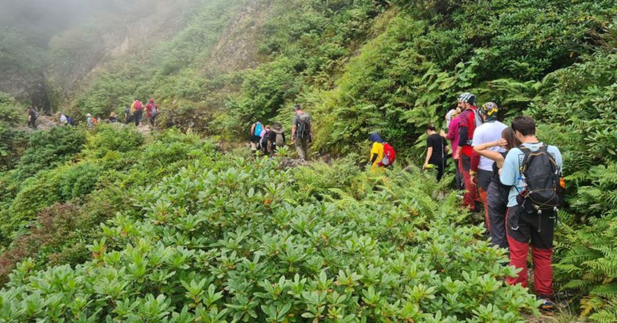 Giresun’da unutulmaya yüz tutmuş otçu göçü geleneği canlandırıldı