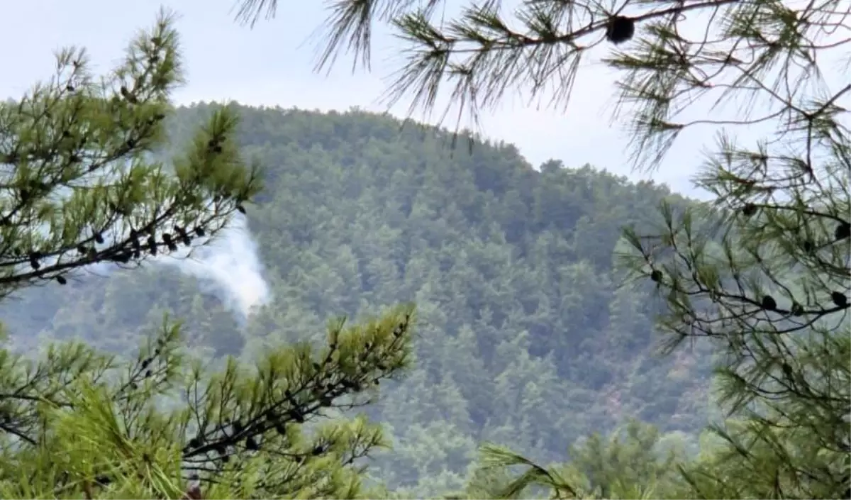 Muğla’da Yıldırım Kaynaklı Orman Yangınları